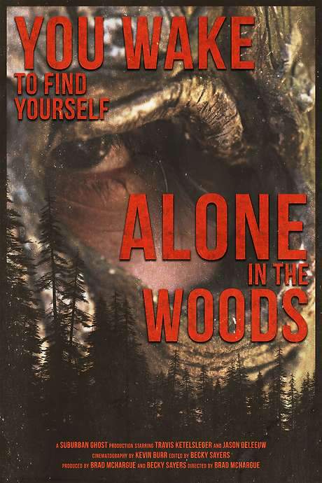 You Wake to Find Yourself Alone in the Woods